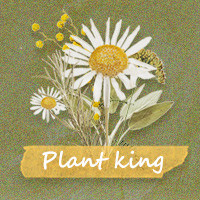 植秀坊 PLANTKING