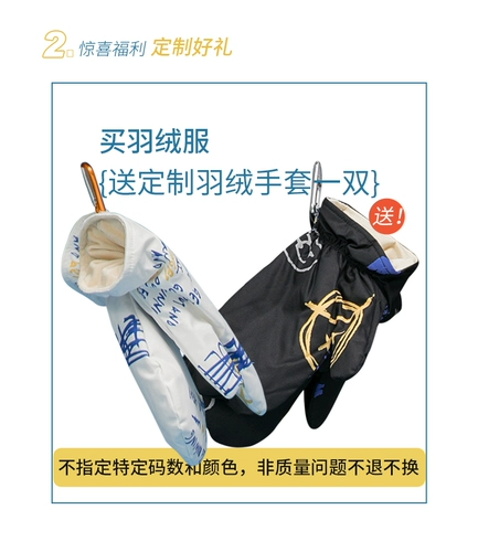 Пуховик, лыжная толстовка с капюшоном, лыжный костюм, куртка, 2021 года