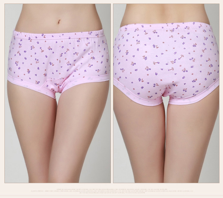 Slip Moyen-âge simple en coton - Ref 640615 Image 21