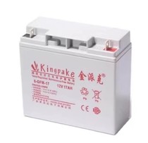 Jinpike battery 6-GFM-65 fire host UPS power supply 12V17AH24A38A65A100A200AH