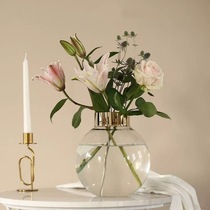 Cozyhome Nordic light and luxurious transparent glass gilded edge round ball HALO vase hydropony floral floral decoration pendulum