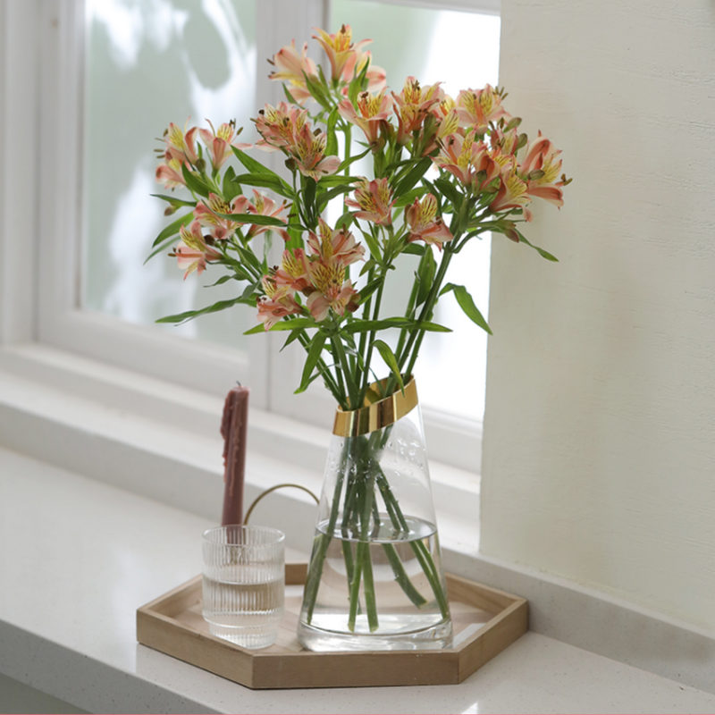 Cozyhome Nordic Phnom Penh Conical Fresh HALO Vase Oblique Rose Glass Bottle Living Room Retro Flower Ornament