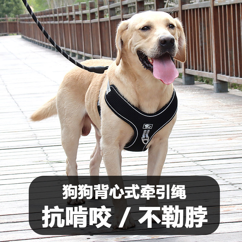 Large dog dog traction rope Labrador large dog chest holding baby bag golden retriever walking dog rope medium dog vest style border collie