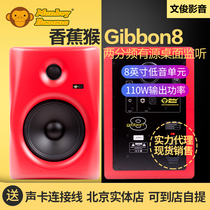 Monkey Banana Banana Monkey Gibbon8 recording studio 8 inch active two-way monitor speaker