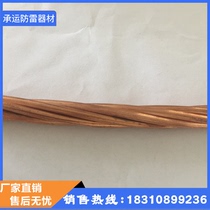 Site-specific copper-clad steel grounding twisted spot supply lightning protection project dedicated national standard price is appropriate