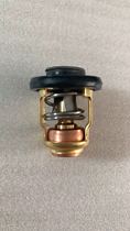 Outboard Motor Thruster Marine Thermostat Temperature Switch Suitable for Yamaha Yum Panier Sea
