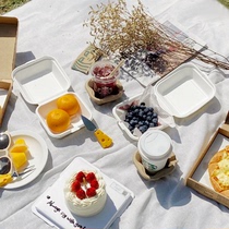 Net red picnic supplies full box pulp cake lunch box hand-painted cake box creative burger packing box