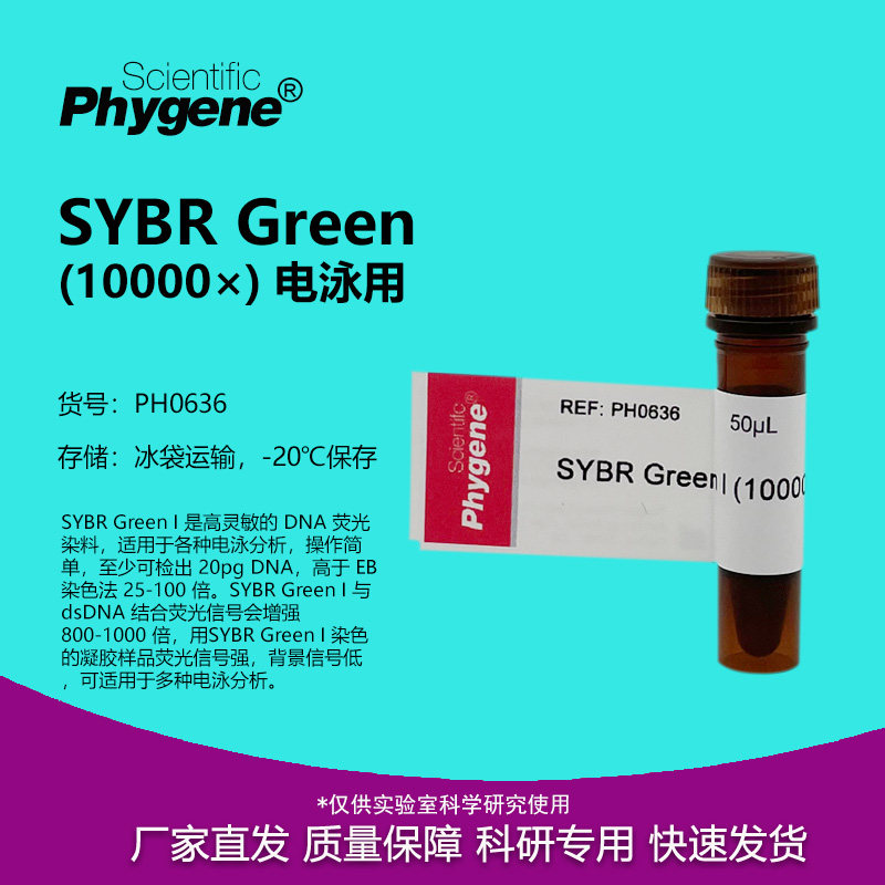 SYBR Green I (10000&times;) SYBR核酸电泳 50uL [PH0636 PHYGENE]