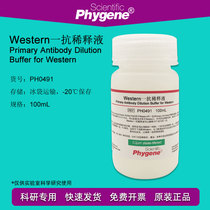 Western primary antibody diluent for WB experiments 100mL PH0491 PHYGENE