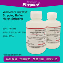 Western antibody eluent membrane regeneration liquid Stripping Buffer research 250mL