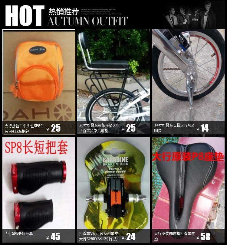 Porte-bagages pour vélo DAHON - Ref 2411589 Image 8