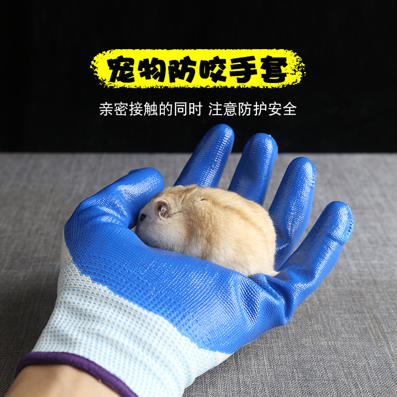 Hamster Gloves Anti Bite Toy Pet Rat Tingle Hedgehog Life Gallery Dutch Pig Supplies Anti Bite