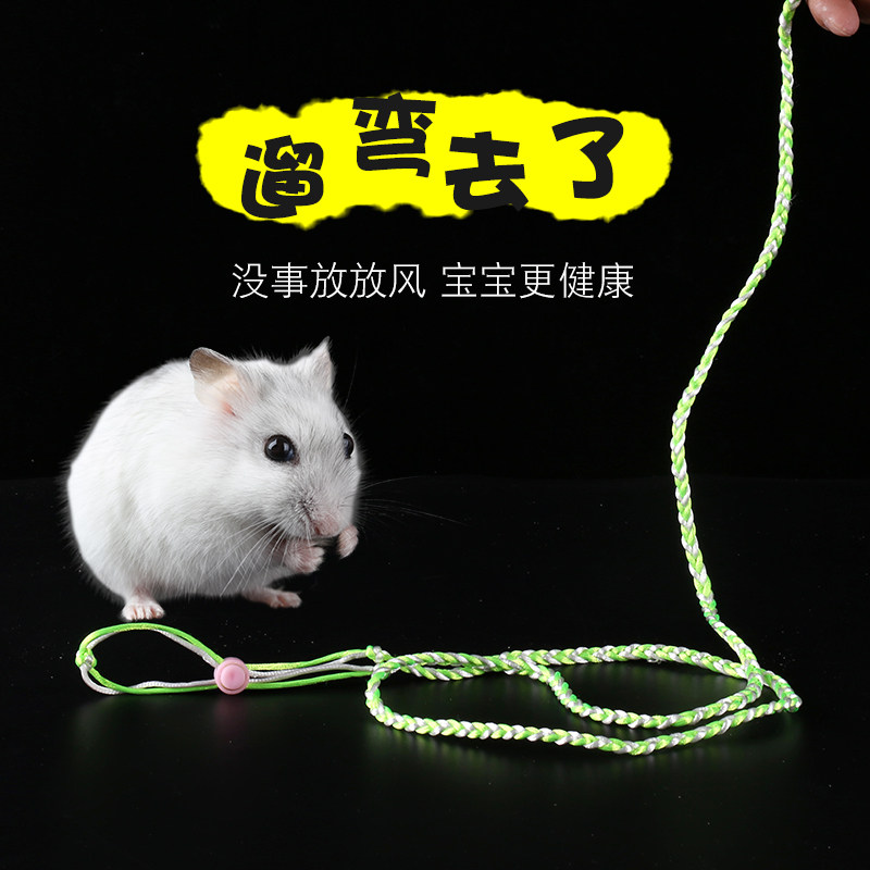 Hamster traction rope walking hamster traction squirrel rabbit guinea pig guinea pig traction rope hamster toy supplies
