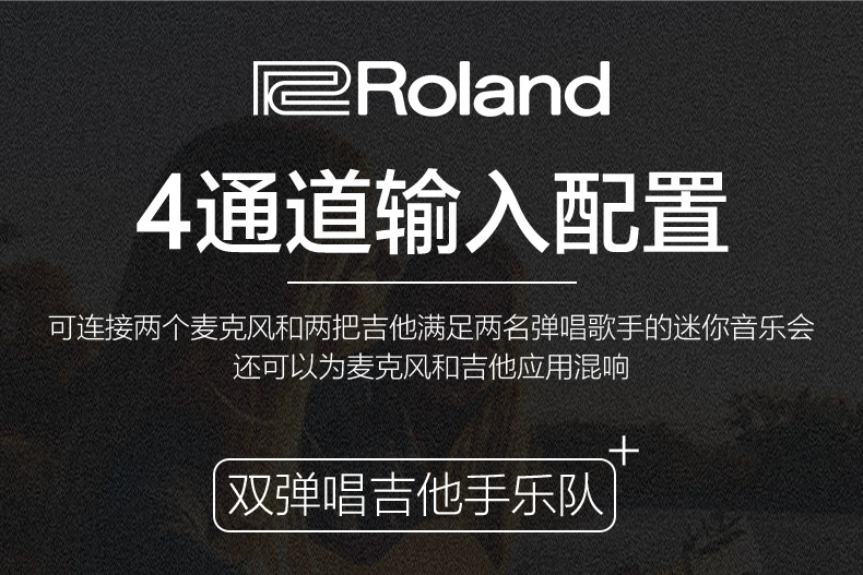 Roland Roland BA-330 loa đa năng loa dân gian bàn phím đàn guitar điện hộp âm thanh người - Loa loa