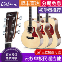 Gibran Giberlain 36 40 41 inch spruce veneer folk guitar beginner boys and girls novice introduction