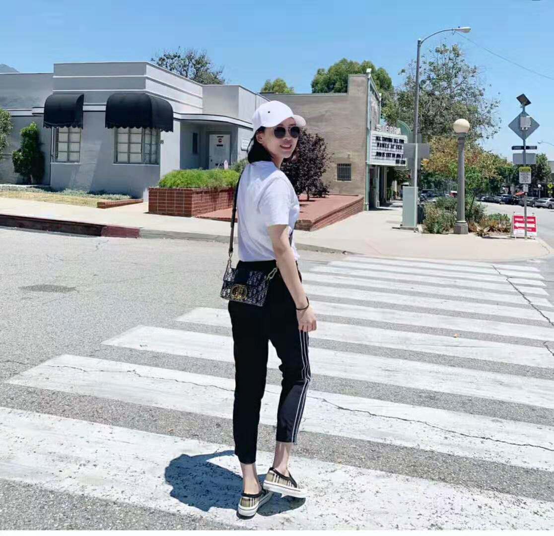 Europe Dior Dior 19 new stars with the same pitched satchel Monta box Mini M9204UTZQ