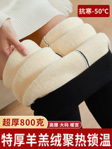 Northeastern ultra-thick lamb velvet warm cotton pants for women cold-proof high-waist outer leggings Harbin Xuexiang travel equipment