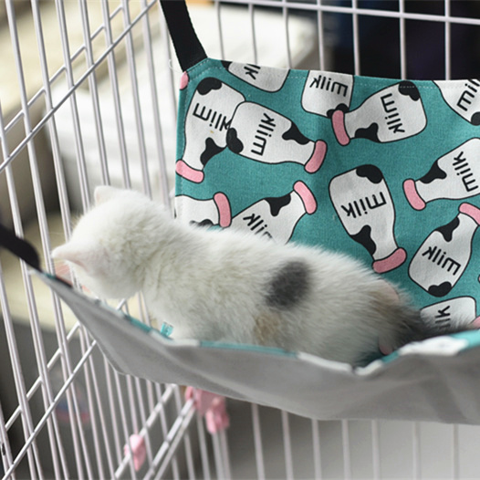 New Kitty Hammock British Short Cat Nest Cage Hang Bed Big Cat CUTE PATTERN PET YOUNG CAT HANGING BASKET