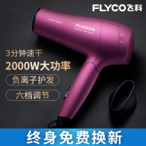 Flying Coelectric hair dryer Home High power negative ion hair care hair salon special dormitory with student wind cylinder big wind