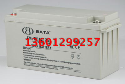 Hongbei battery FM BB12135T 12V135AH special sale UPS battery