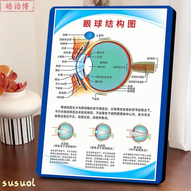 Eye Structure Diagram, Photo Frame, Eyeball Anatomy Diagram, Cross-Section Diagram, Optical Shop Corrective Poster, Ophthalmology Display Stand, Decoration