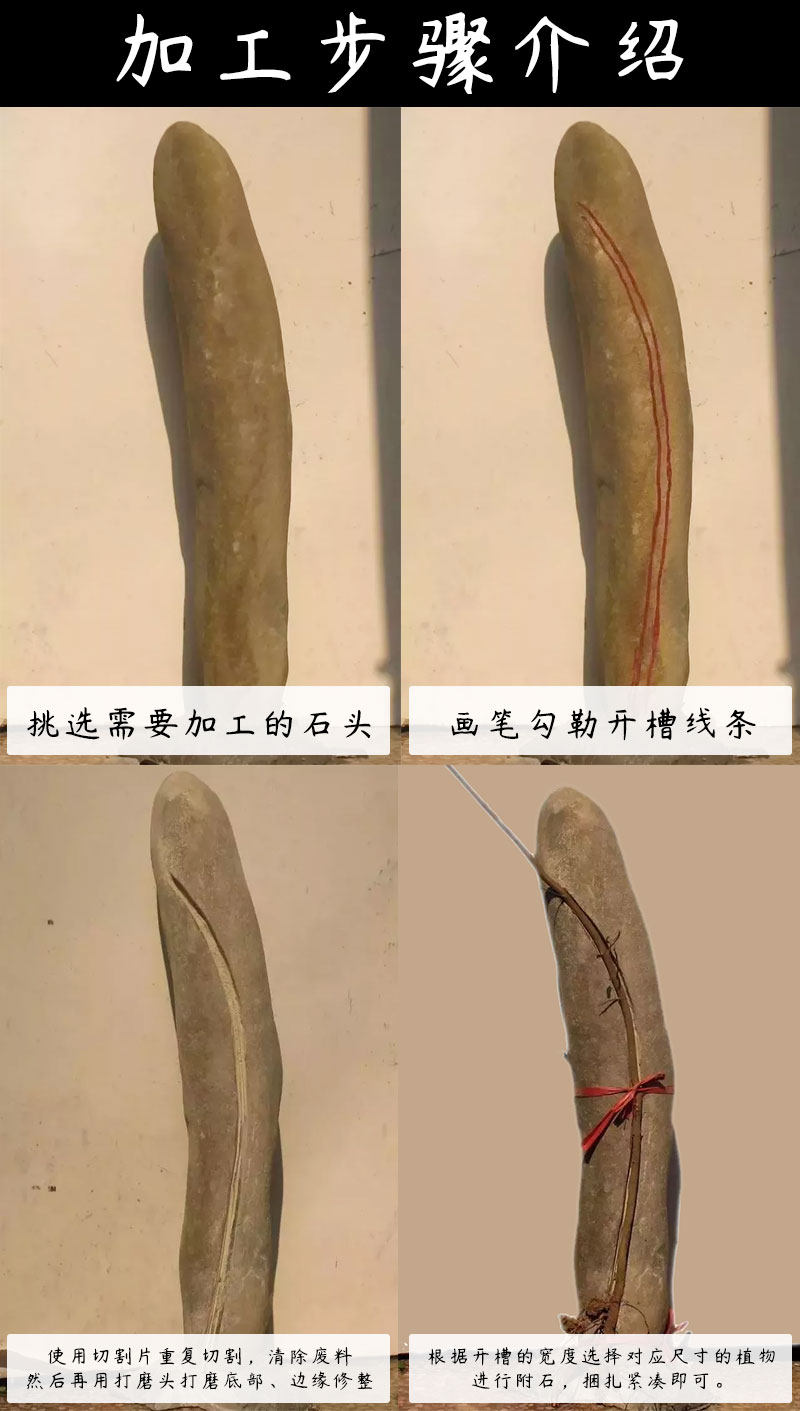 Точильное кольцо 附石盆景植物假山石头开槽雕刻打磨电磨手电钻切割盆栽树造型制作