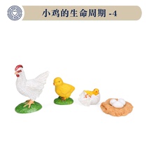 Boko Heart Psychological Sand Disc Suit Sandal Cognition Model Box Courtyard with Chickens Life Cycle -4 Life