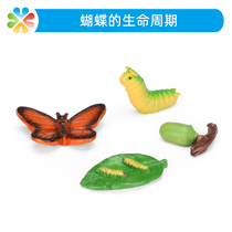 Boko psychological sand sand table game butterfly life cycle Caterpillar child animal cognitive evolution model