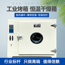 Electrothermal Constant Blow Blow Dry Box Laboratory High-Temperature Industrial Dryer Small Oven Constant Oven