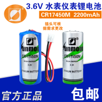 Vastness Day Moon CR17450M Lithium Manganese Battery 3V Meter Meters Meter Flow Meter RAM Memory PLC