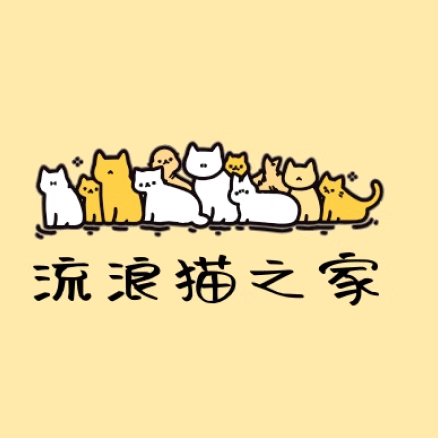 风行户外装备店