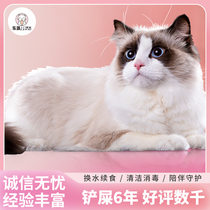 Lepie Beijing Shanghai Guangzhou Shenzhen Chengdu Hangzhou Xiamen Suzhou Dongguan Door-to-door Feeding Cat Pets Hosted Home