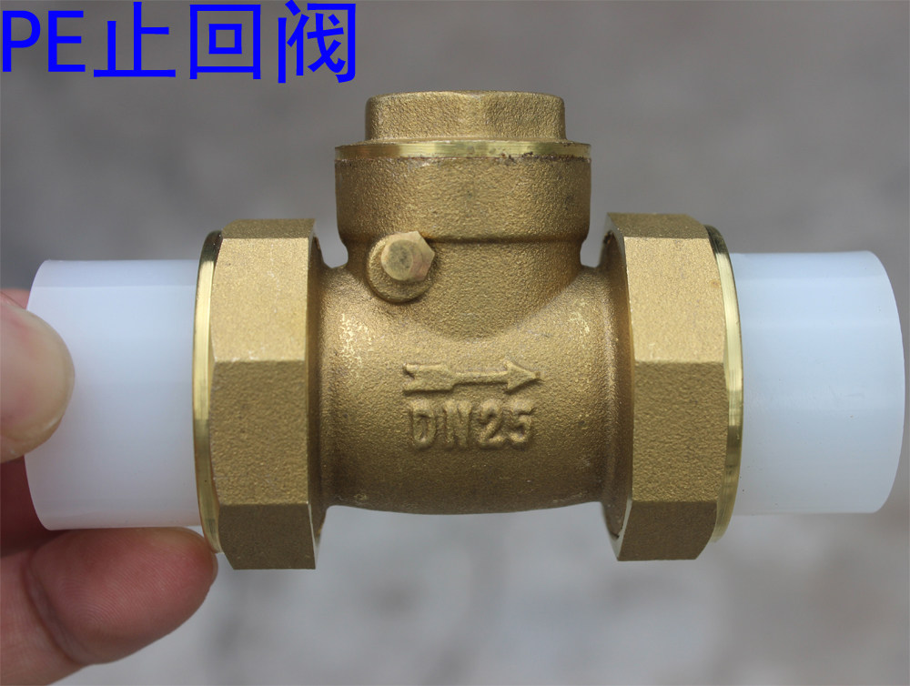 Thickened DN20 DN 25 PE check valve PE brass horizontal check valve household PE pipe check valve