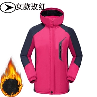 A06 женский стиль [плюс бархат] роза красный