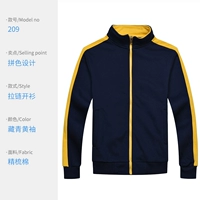 Свитер WSX209 Скрытый голубой (без бархата)