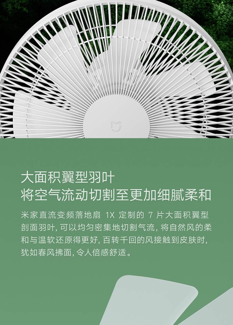 Picture_09.jpg
