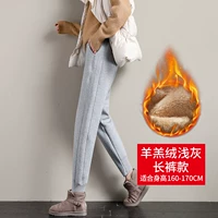 Бархатные штаны, ростомер, 160-170см