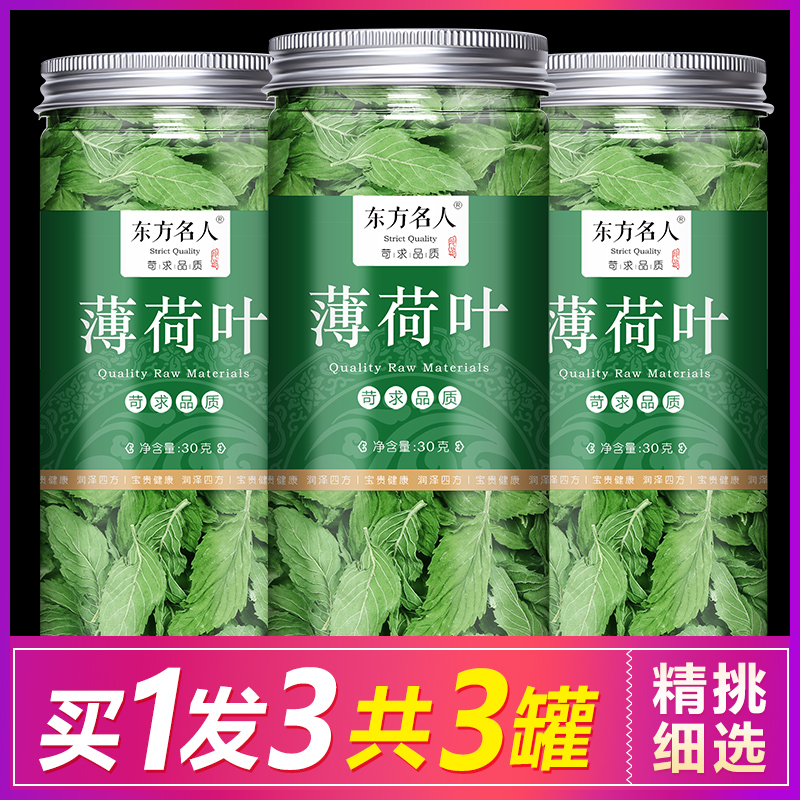 Mint leaf tea Fresh edible premium cool soaked water to drink Chew dry mint bulk soaked tea drink