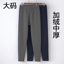 Plus fertilizer plus size mens warm pants plus velvet medium-thick high-waist loose middle-aged and elderly coral fleece pure cotton solid color cotton pants