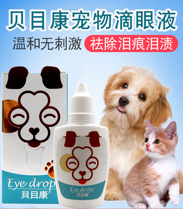 Thuốc nhỏ mắt cho chó làm rách mắt nhân tạo mắt mèo chloramphenicol thuốc nhỏ mắt kháng viêm kháng khuẩn - Thuốc nhỏ mắt thuốc nhỏ mắt cho mắt cận