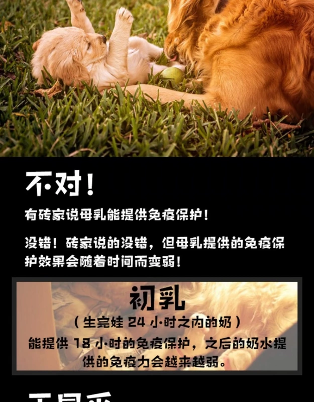 Babbitt Plus - Kem miễn dịch cho chó đỏ tăng cường cho chó con Chăm sóc miễn dịch cho mèo Kem tiêu hóa chống tiêu hóa - Cat / Dog Health bổ sung