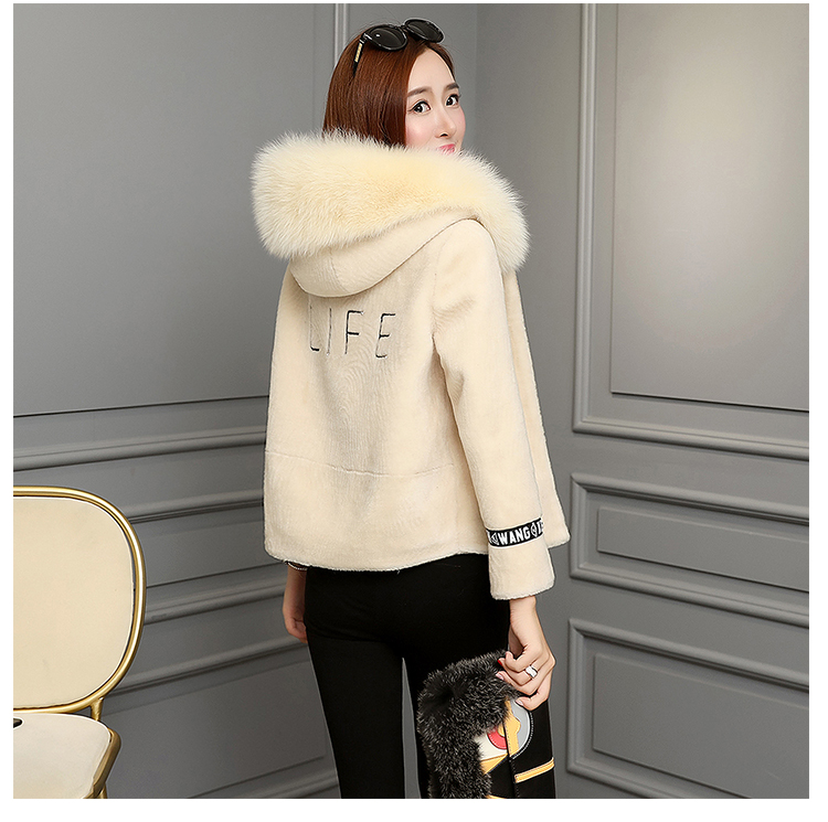 Xử lý cừu cắt coat Haining chống biển áo khoác lông thú nữ 2018 mới mùa đông lamb fur fur đoạn ngắn áo lông khoác ngoài váy