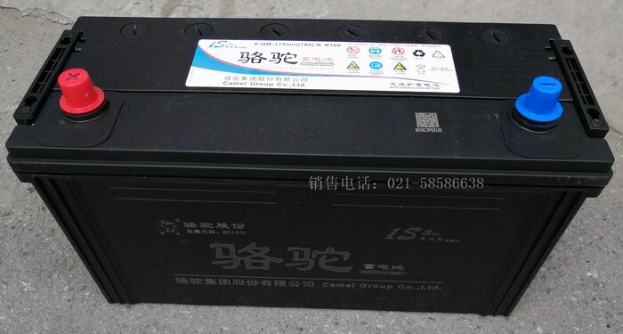 Аккумулятор 6-qwlz-172min电瓶 12v100ah启动蓄电池 骆驼1s电瓶 100安时 Camel