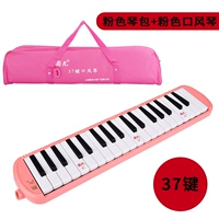 37 Key Pink Speat Bag