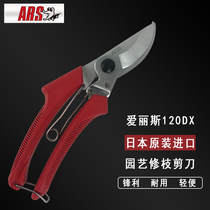 Japanese Alice ARS120DX garden tools scissors pruning coarse branches scissors repairing branches fruit trees floral scissors