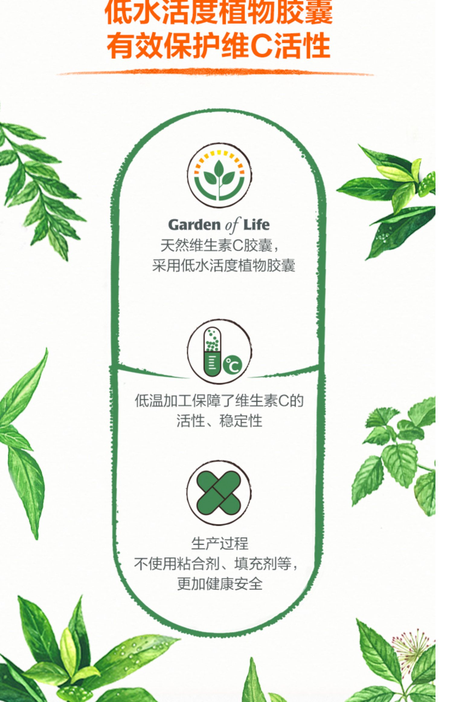 雀巢GardenofLife维生素C胶囊