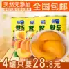 Sugar water canned yellow peach 425g canned fruit Dangshan folio canned yellow peach Handmade canned yellow peach
