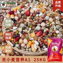 The Lord Dragon Dove Grain without wheat Nutrition A1 pea with corn racing pigeon Pigeon Feed Jiang Zhejiang 50 Jin