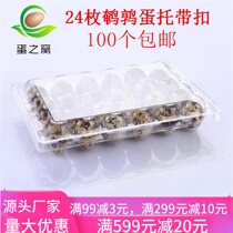 24 plastic quail egg toog with buckle disposable quail egg box gift box packaging transparent quail egg tug