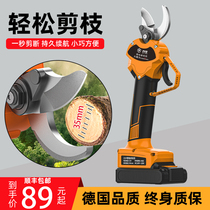 German electric scissors fruit tree rechargeable pruning shears Lithium electric tree repair artifact electric scissors cutting branches strong special purpose